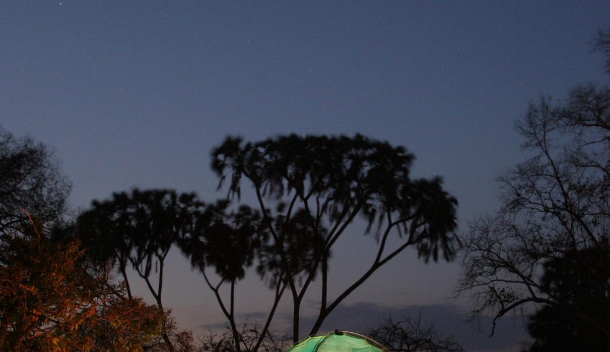 For the adventurous, book our Walking Safaris, two nights sleeping under star domed tents